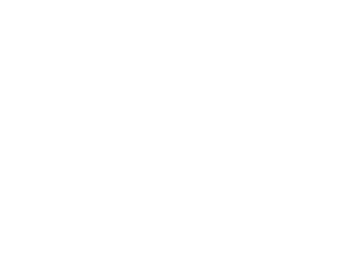 Logo Laurens De Vos